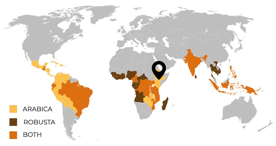 Provenienza del caffè prevalentemente Etiopia